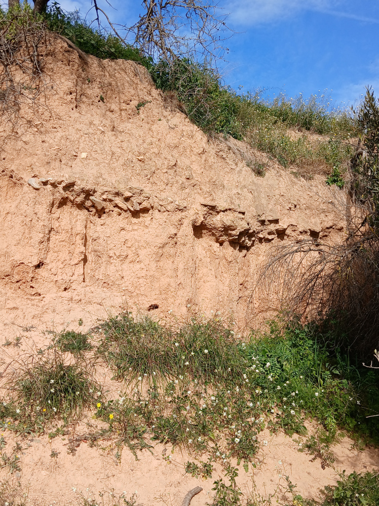 Mur romà visible al marge situat sota l'era de can Gelabert. 