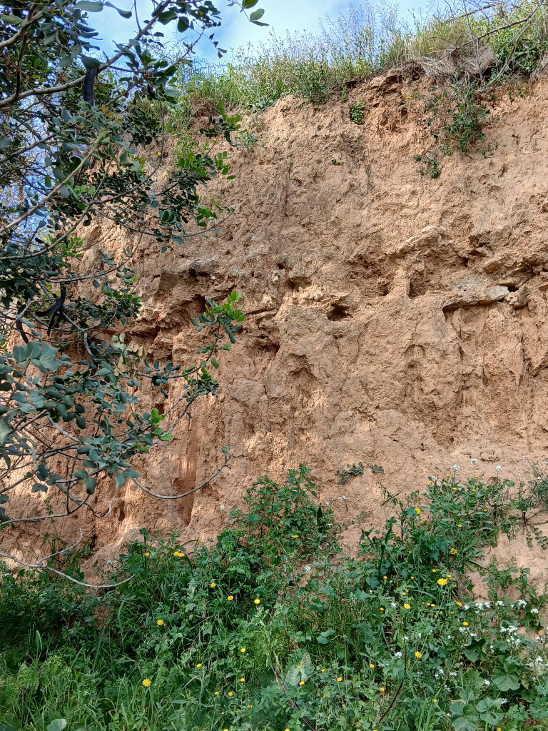 Mur romà visible al marge situat sota l'era de can Gelabert. 