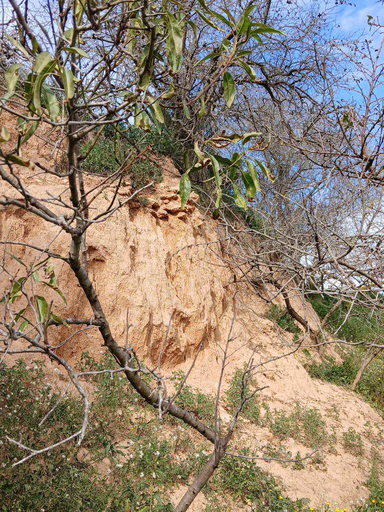 Mur romà visible al marge situat sota l'era de can Gelabert. 