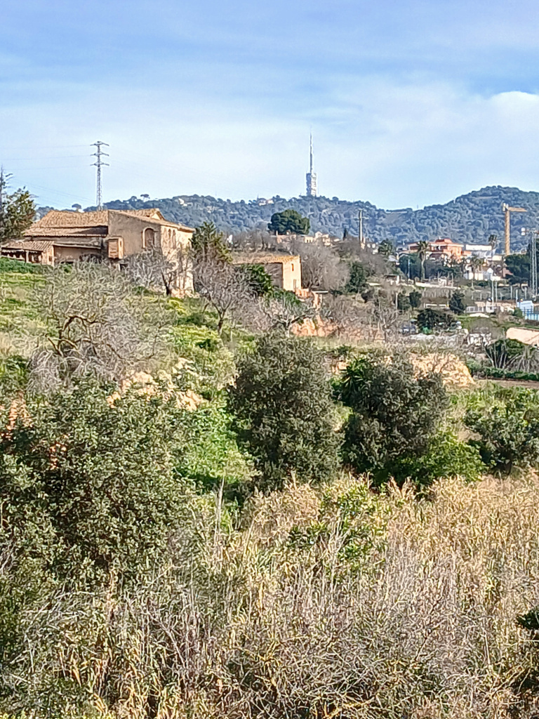 Vista de l'emplaçament de la parcel·la agrícola amb restes d'època romana. Al fons, la masia de can Roldan.