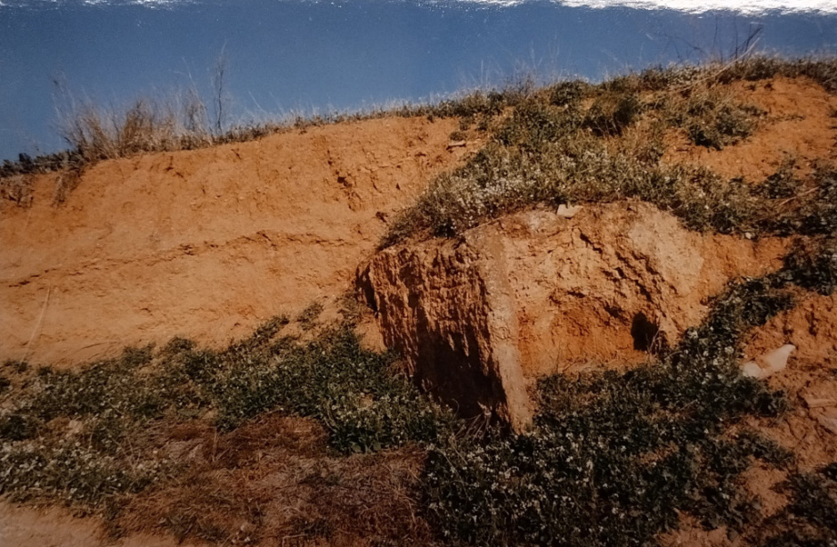 L'estructura de combustió al marge del camí l'any 2002. Foto: Goretti Vila. Font: Arxiu Municipal de Sant Just Desvern.