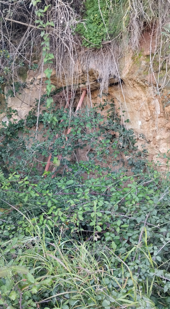 Vista detall del carcabà engolit per la vegetació.