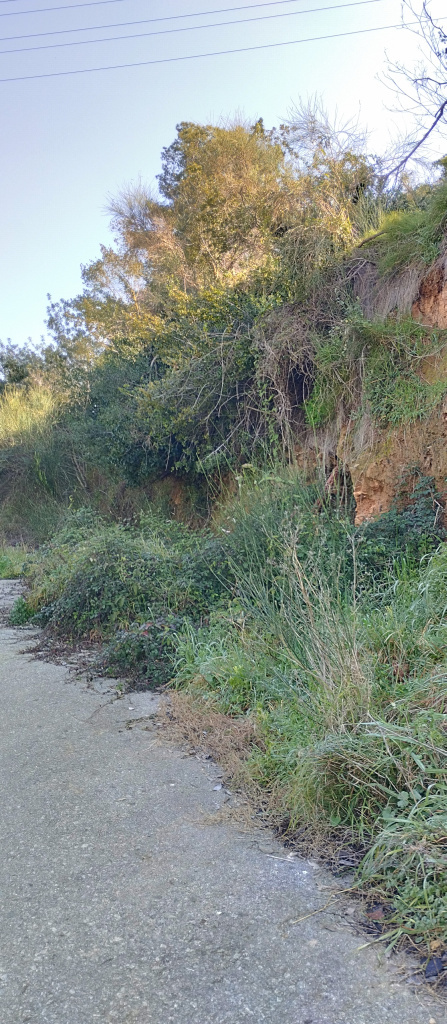 Vista general de l'emplaçament respecte al camí.