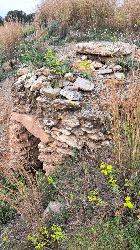 Vista detall de l'emplaçament de la barraca al marge.