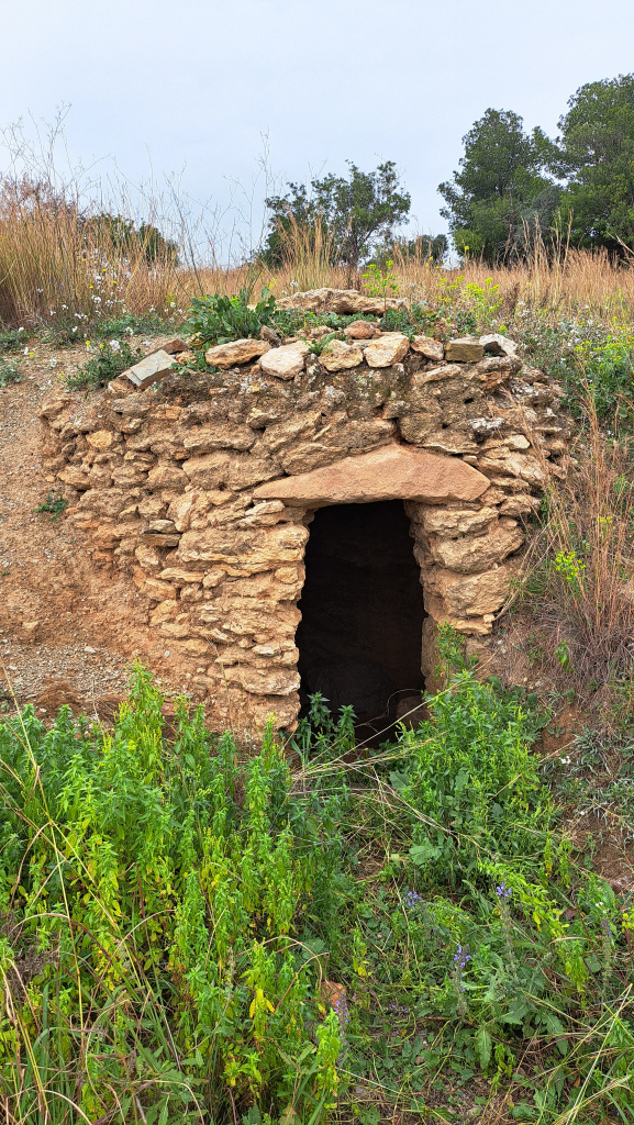 Vista detall de la barraca al marge.