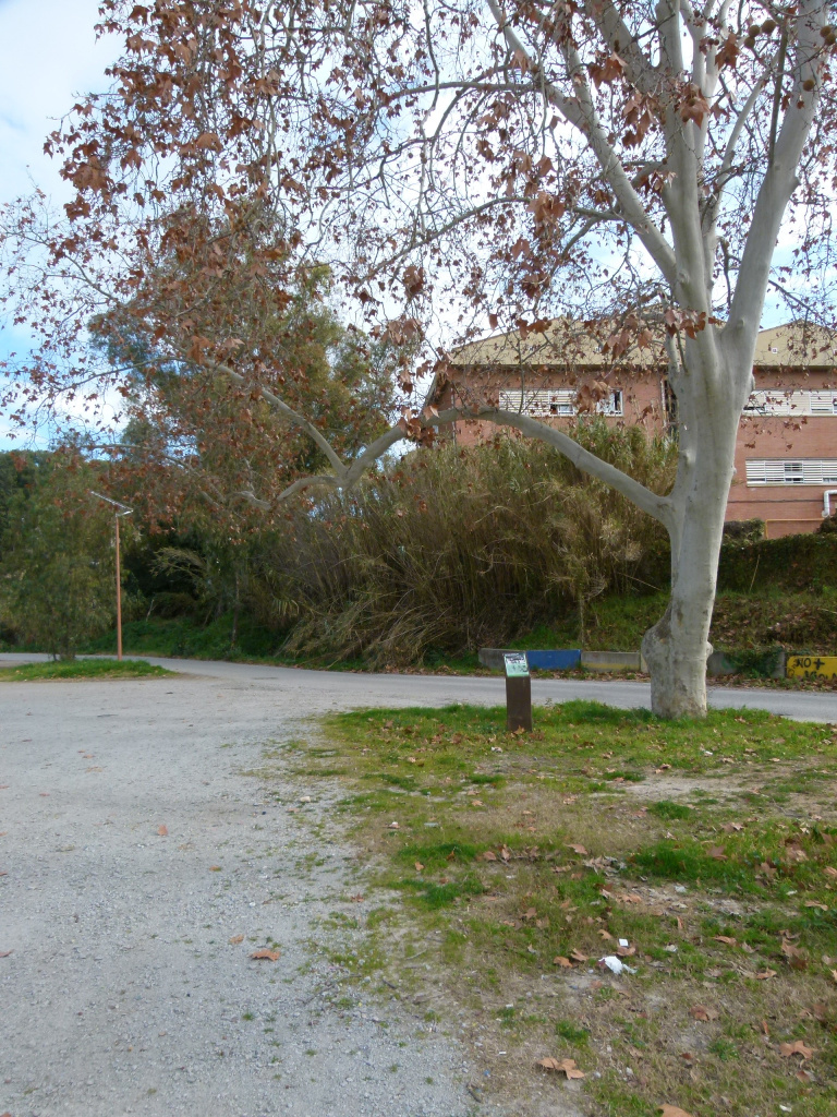Vista actual de l'espai que ocupava la Font de la Bonaigua, l'estructura de la qual es conserva quatre metres per sota del nivell actual de circulació.