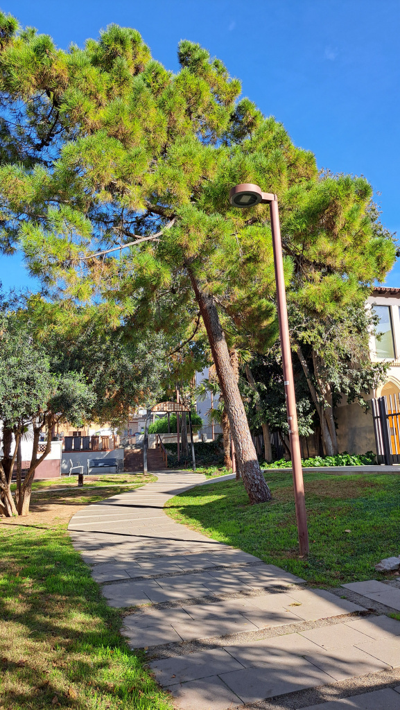 Vista general de l'emplaçament.