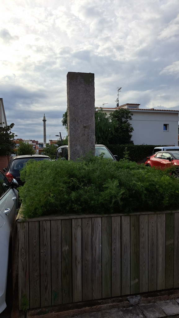 Vista posterior amb l'enjardinament que es troba al centre de la plaça.