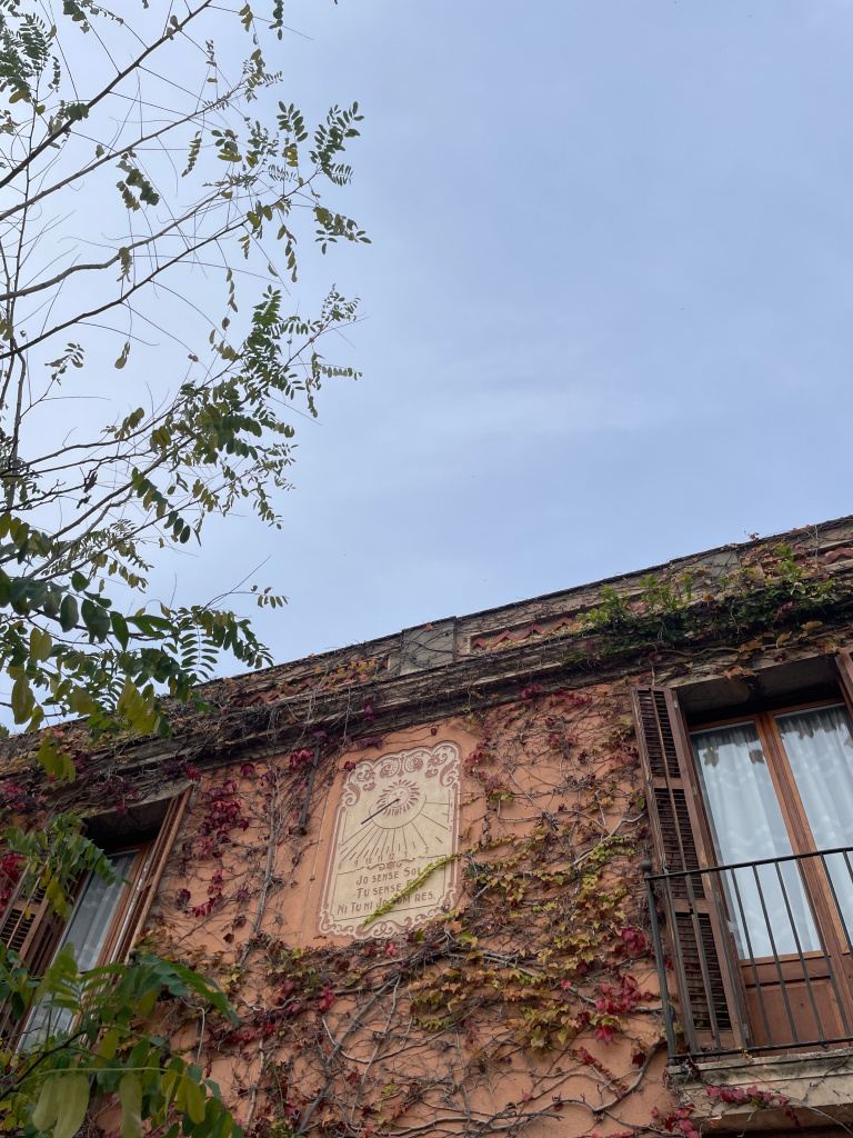 Vista general de l'emplaçament.