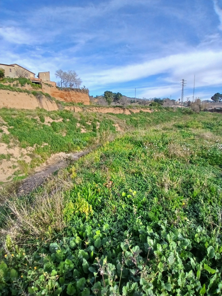 Tram naturalitzat de la riera.