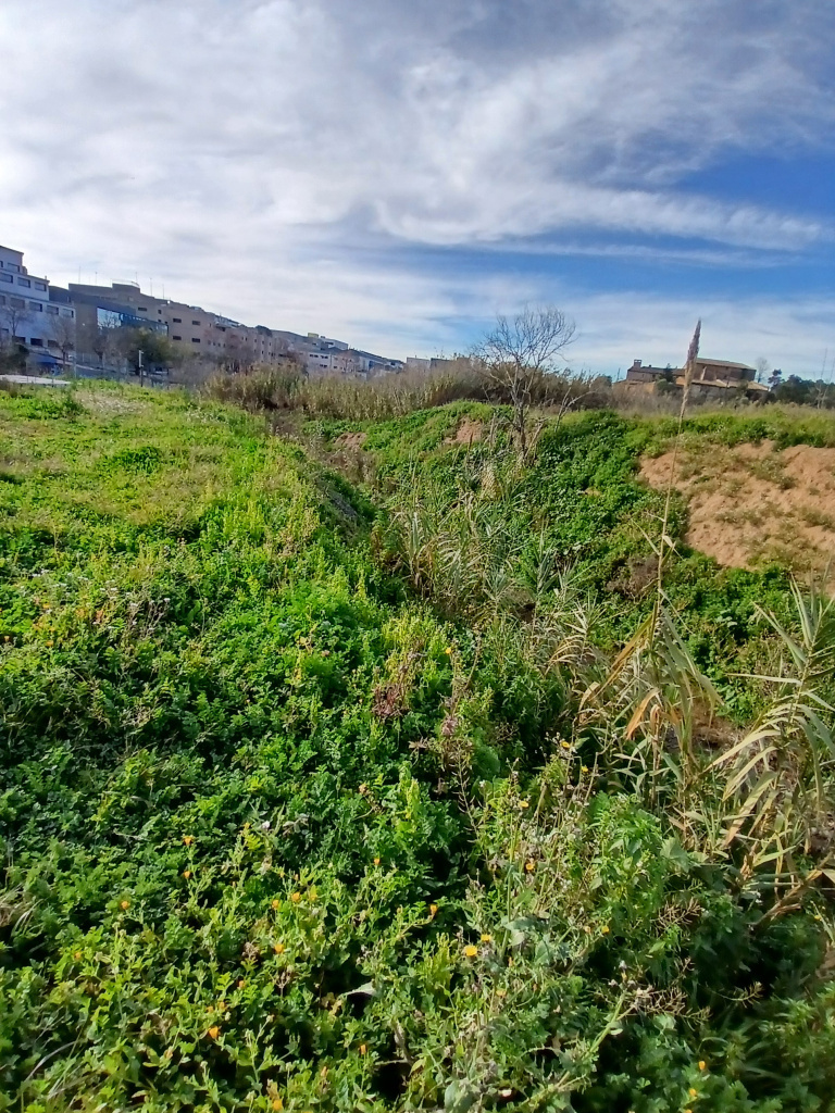 Tram naturalitzat de la riera.
