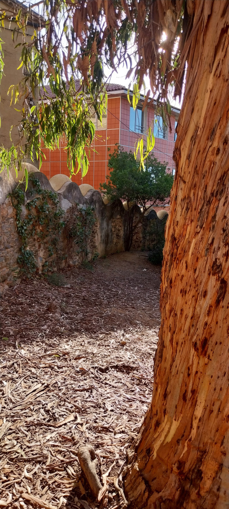 Vista del mur de tanca ondulat que delimita la finca.