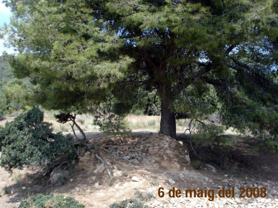 Estat de la barraca l'any 2008. Font: Arxiu Municipal de Sant Just Desvern.