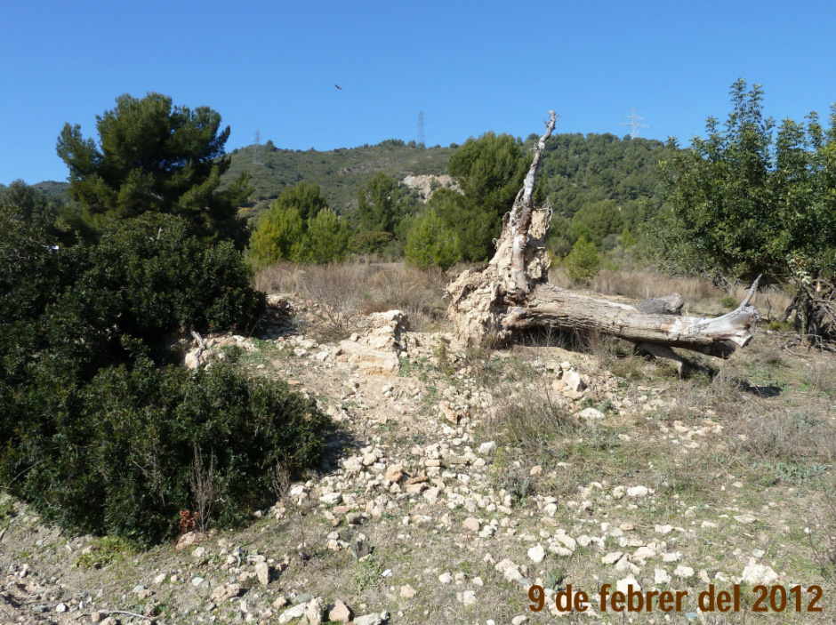 Estat de la barraca l'any 2012. Font: Arxiu Municipal de Sant Just Desvern.