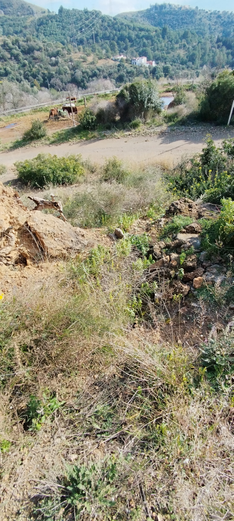 Vista general de les restes de la barraca.