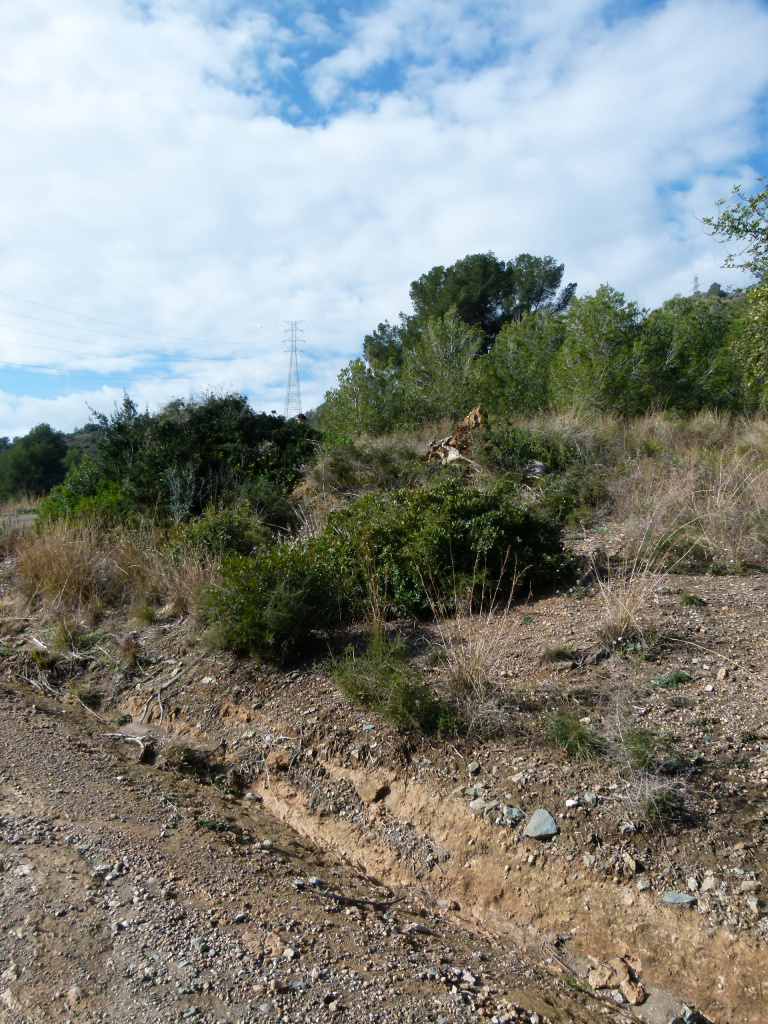 Vista general de l'emplaçament de les restes de la barraca.