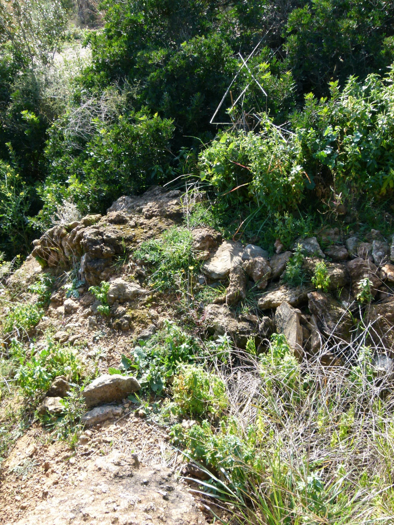Vista detall de les restes de la barraca.