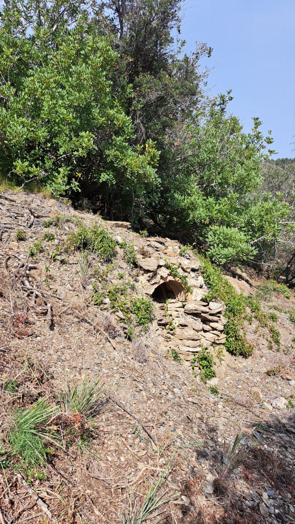 Vista general de l'emplaçament de la barraca. 