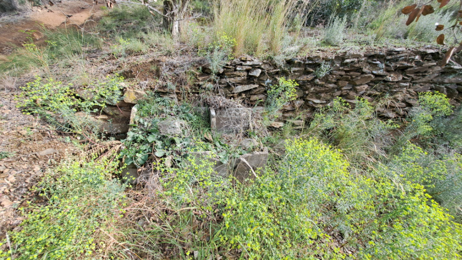 Vista detall de les restes de la barraca.