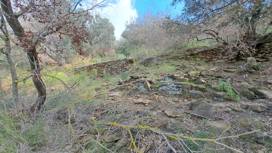 Vista general de l'emplaçament de les restes de la barraca.