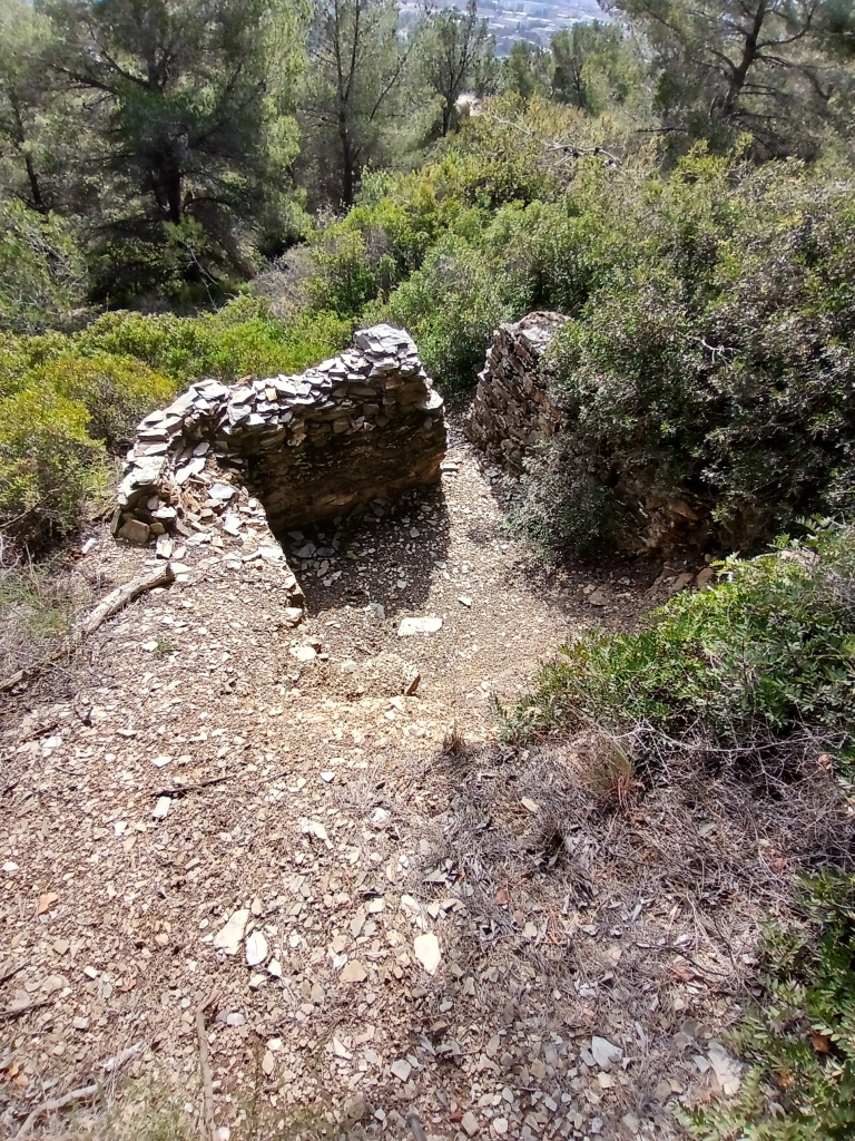 La barraca en el seu entorn.