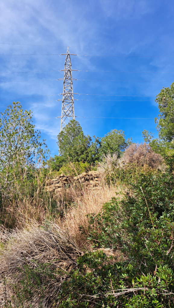Vista general de l'emplaçament de la barraca. 