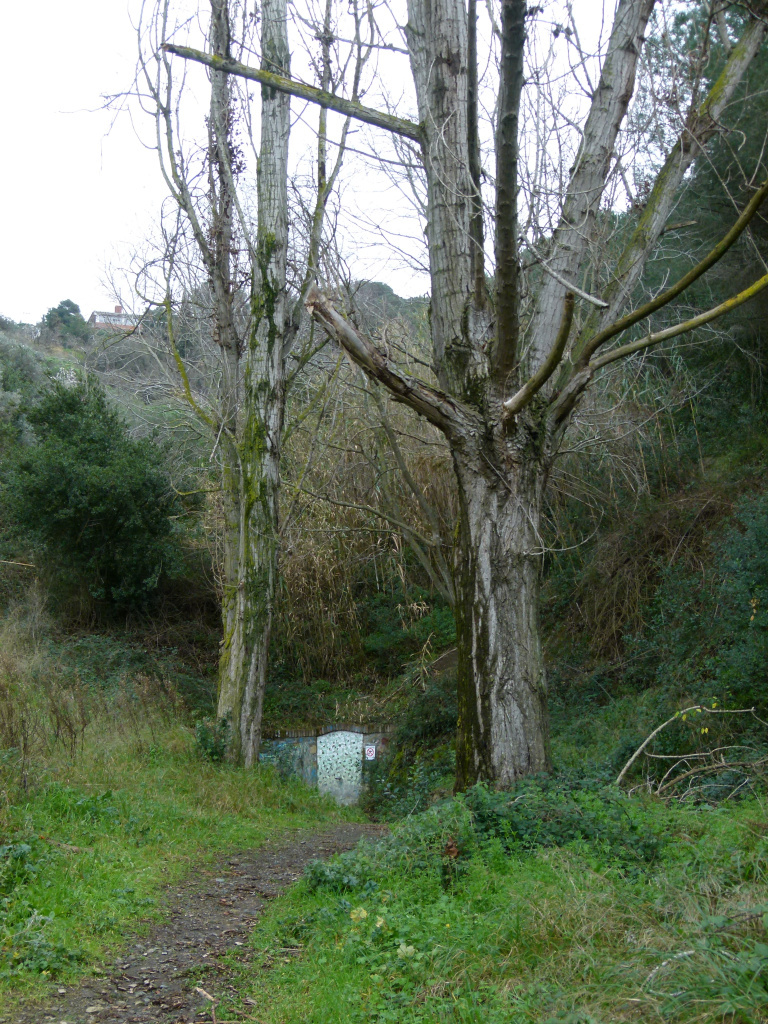Vista general de l'emplaçament de la font.