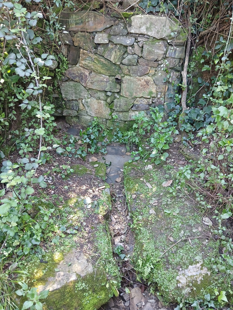 Frontal de pedra i pica de la font del Rector.