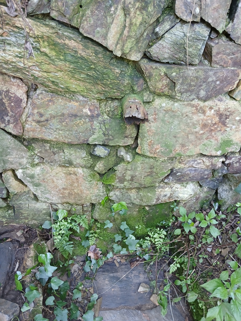 Detall del broc de la font.