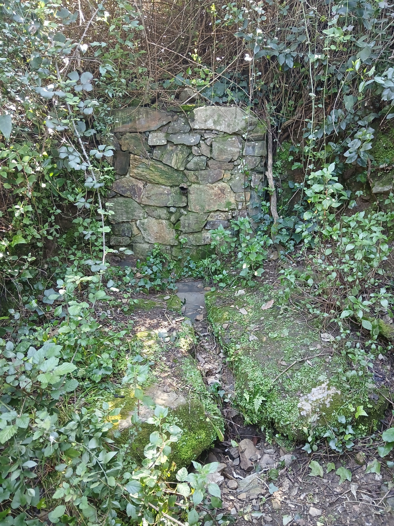 Vista general de la font.