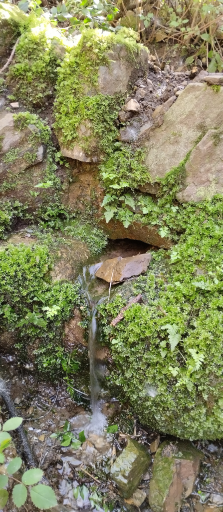 Detall de la teula d'on surt l'aigua de la Font de la SEAS 1.