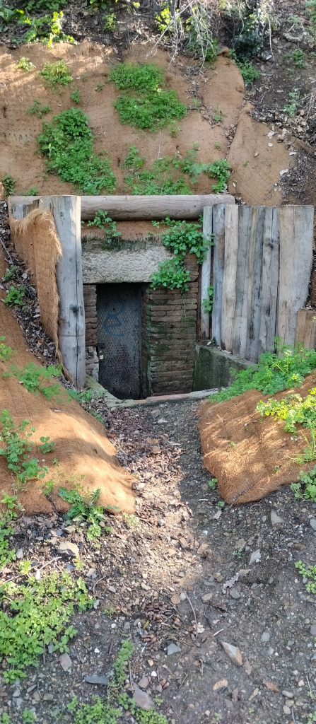 Per sota de la cota actual del camí i al perfil del torrent, la portella queda protegida per una filera de troncs i altres elements.