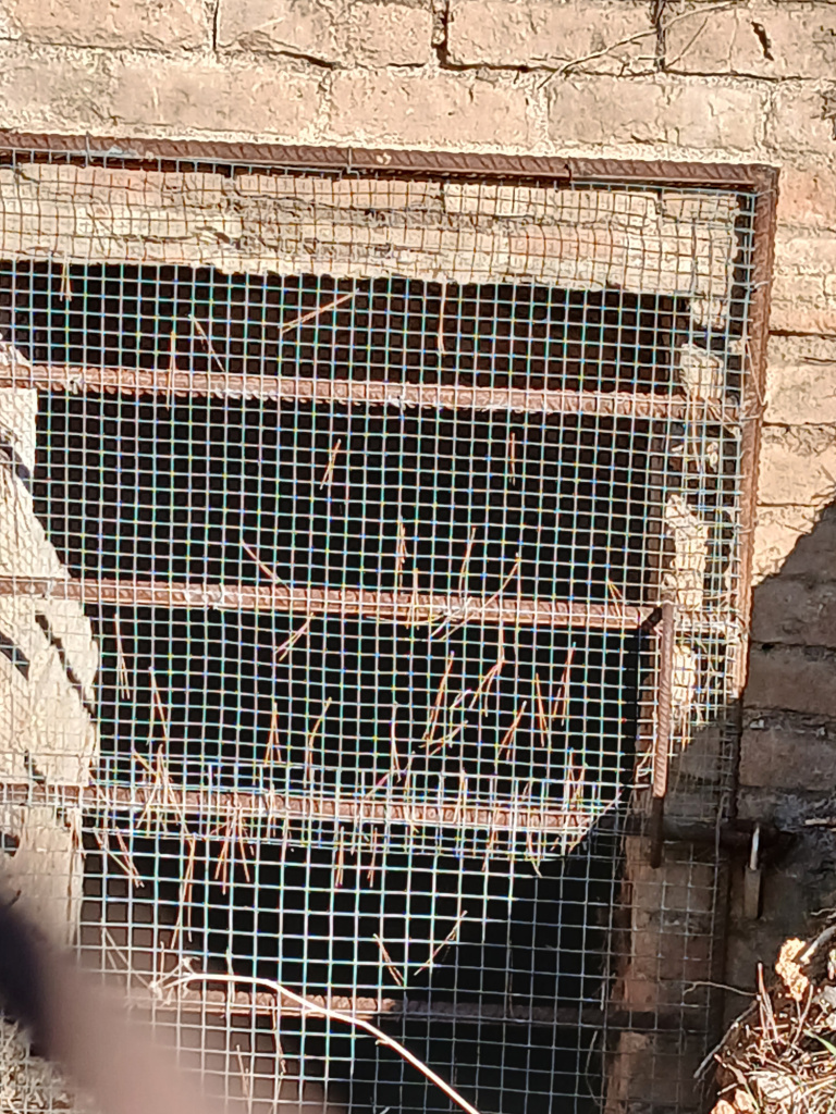 Detall de la portella de registre de la mina.