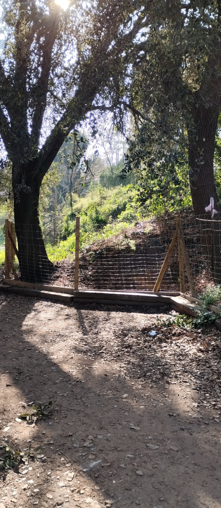 Vista general de l'emplaçament de la portella de la mina a la Baixada del Mas.