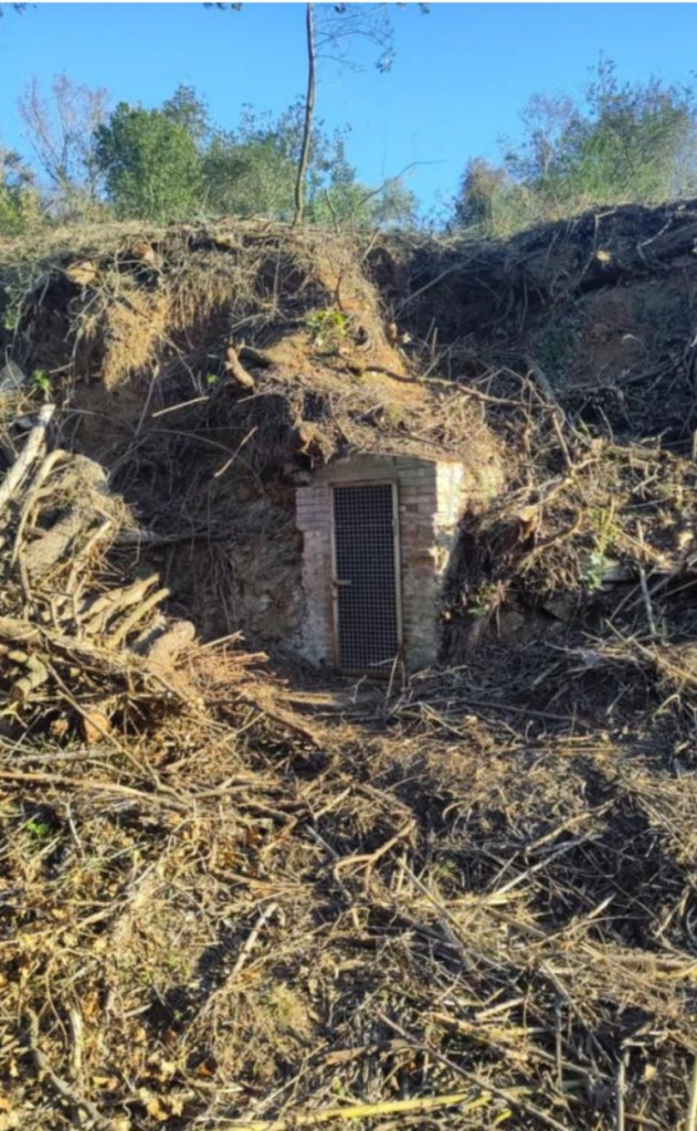 Vista general de l'emplaçament de la caseta de l'accés a la mina. (Autor: Sanagua. Font: Arxiu Municipal de Sant Just Desvern). 