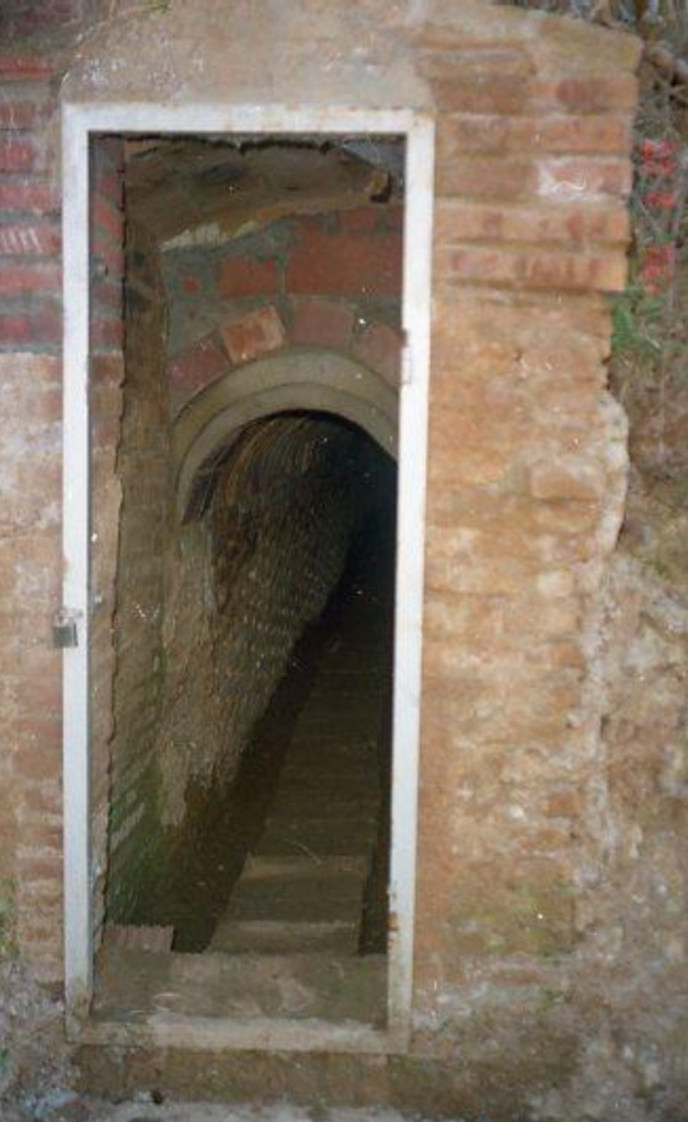 Vista detall de la porta d'accés i l'interior de la galeria de la mina. (Font: Arxiu Municipal de Sant Just Desvern, imatge 127.614).
