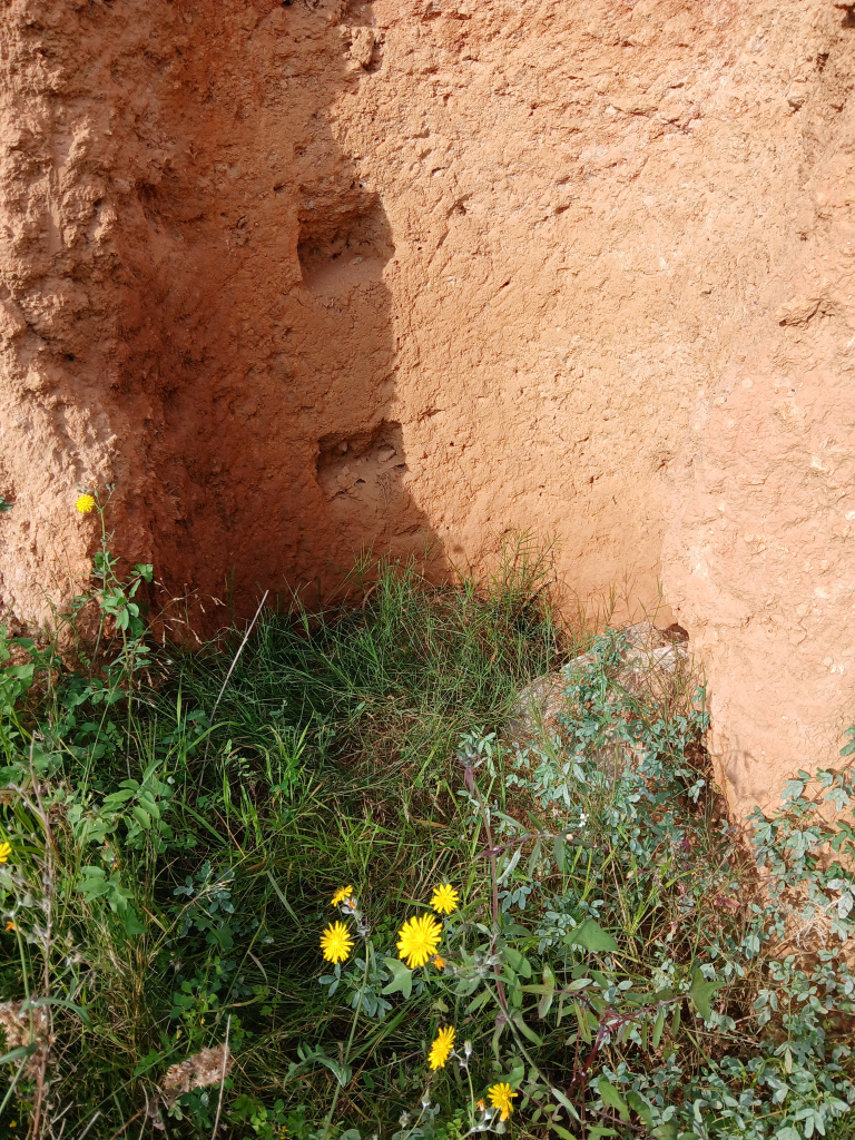 Detall de la paret del pou amb els orificis que permetien descendir fins a la galeria.