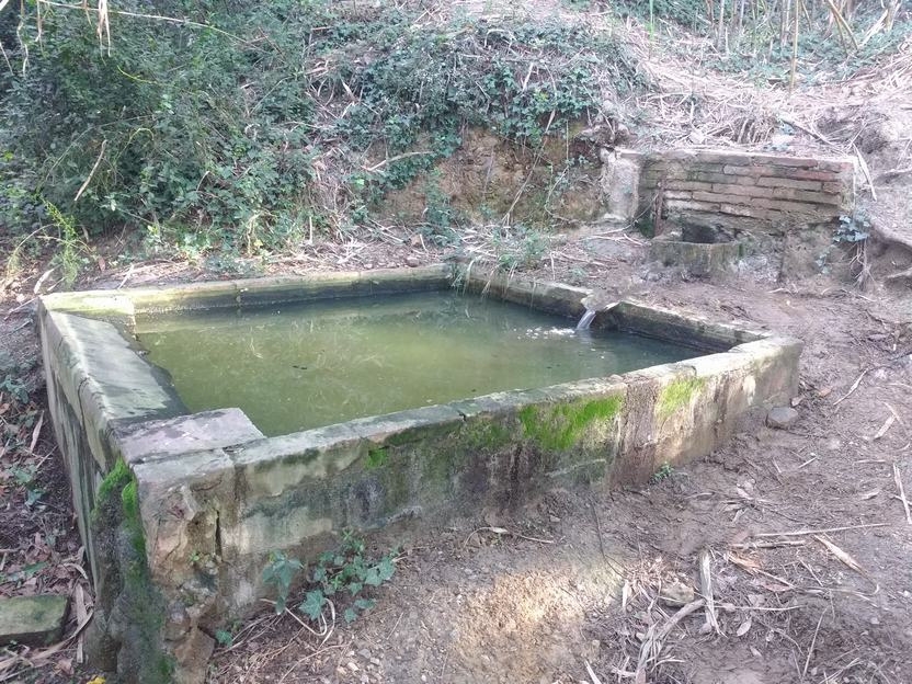 Vista del safareig associat a la font. (Font: Fes Fonts Fent Fonting).