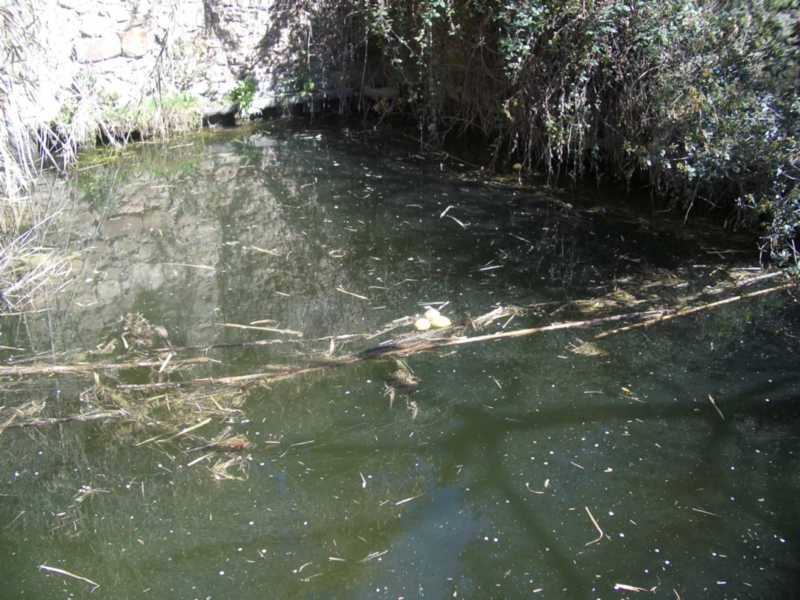 Detall de la bassa omplerta amb l'aigua de la mina. (Font: Fes Fonts Fent Fonting).