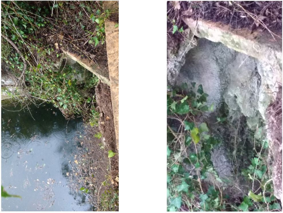 Vista de la cantonada nord-est de la bassa, punt per on arriba l'aigua de mina. Font: Fes Fonts Fent Fonting.