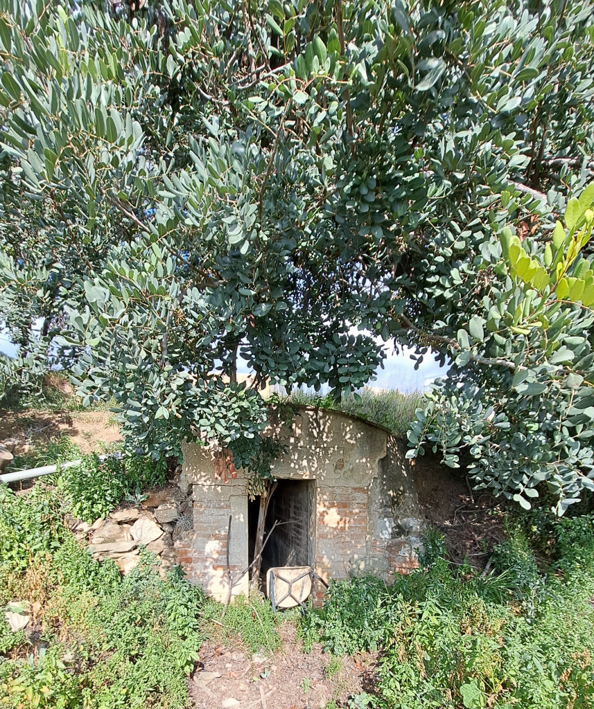 Vista general de l'emplaçament de la boca de mina. 