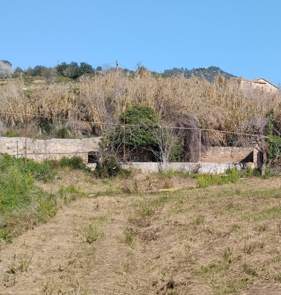 Vista general de l'emplaçament de la mina al fons, dins dels horts de can Gelabert.