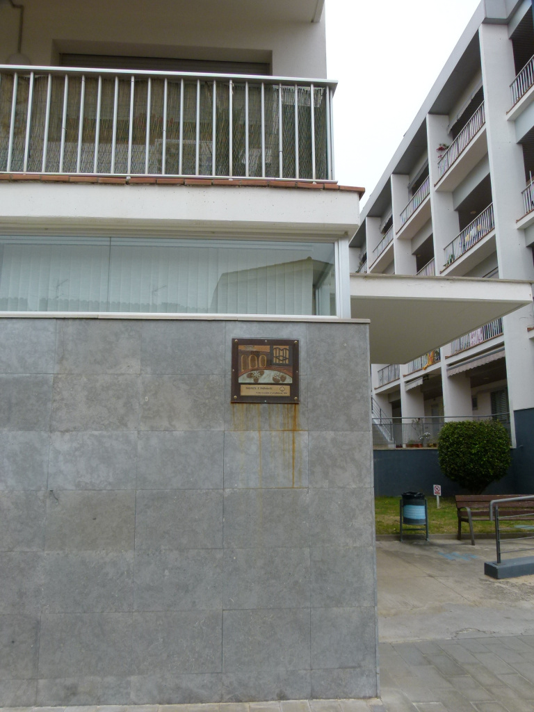 Vista detall de l'emplaçament.