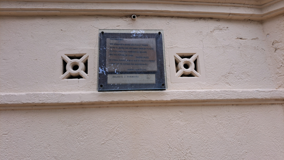 Vista frontal de la placa.