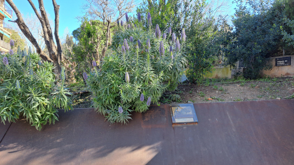 Ubicació a sobre de l'estructura d'acer corten que constitueix el talús del parc.