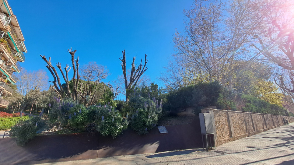 L’obra s’integra subtilment en el paisatge urbà.