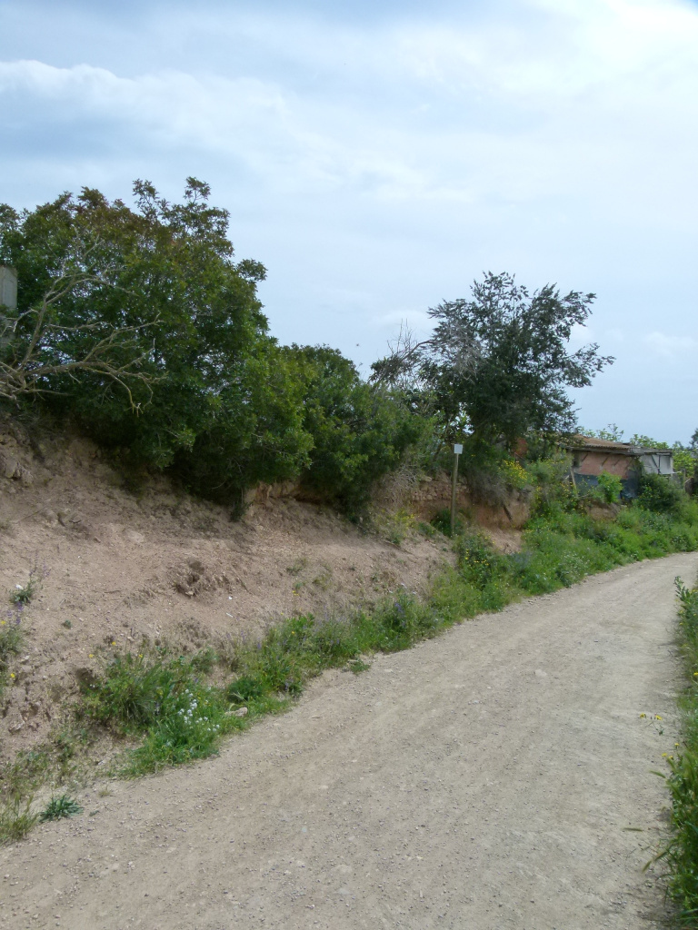 Vista general de l'emplaçament de la fita respecte del camí.