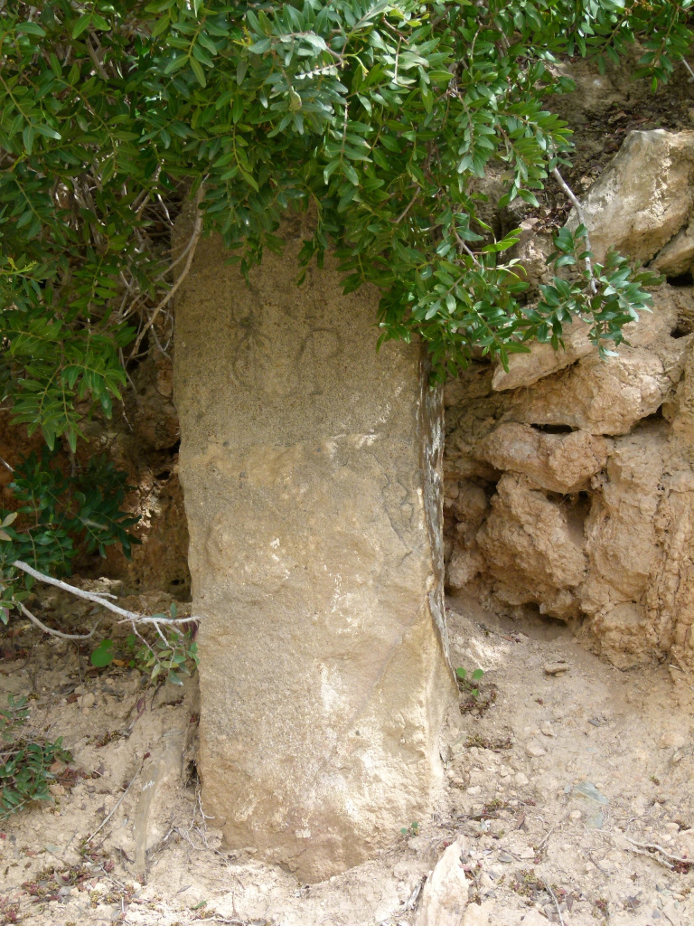 Vista detall de la fita de propietat clavada al marge del camí.