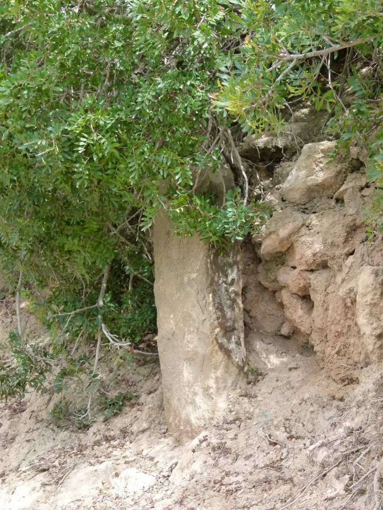 Vista detall de la fita de propietat clavada al marge del camí.
