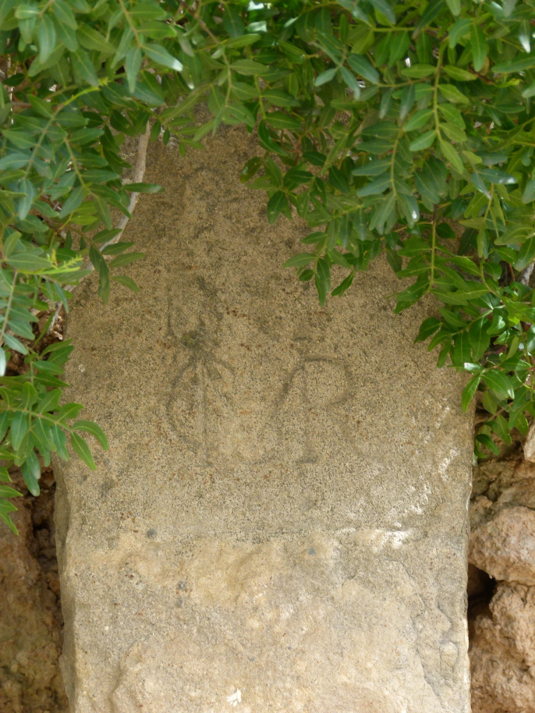 Detall de la part superior de la fita parcialment tapada per la vegetació.